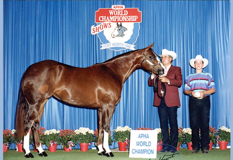 Scarlet Print - APHA World Champion Mare